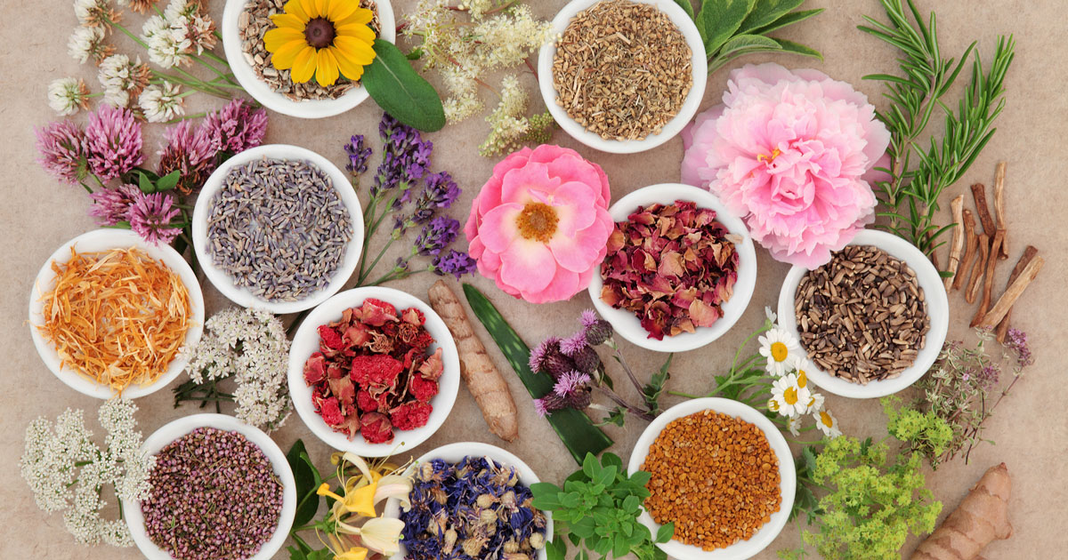 Herbs for Fibromyalgia Which Herbs to Try for Fibro Treatment Part 3